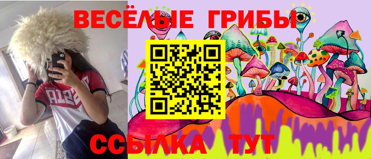 Галлюциногенные грибы Psilocybe  Галлюциногенные грибы мухоморы  Вход с VPN  Новосибирск 
