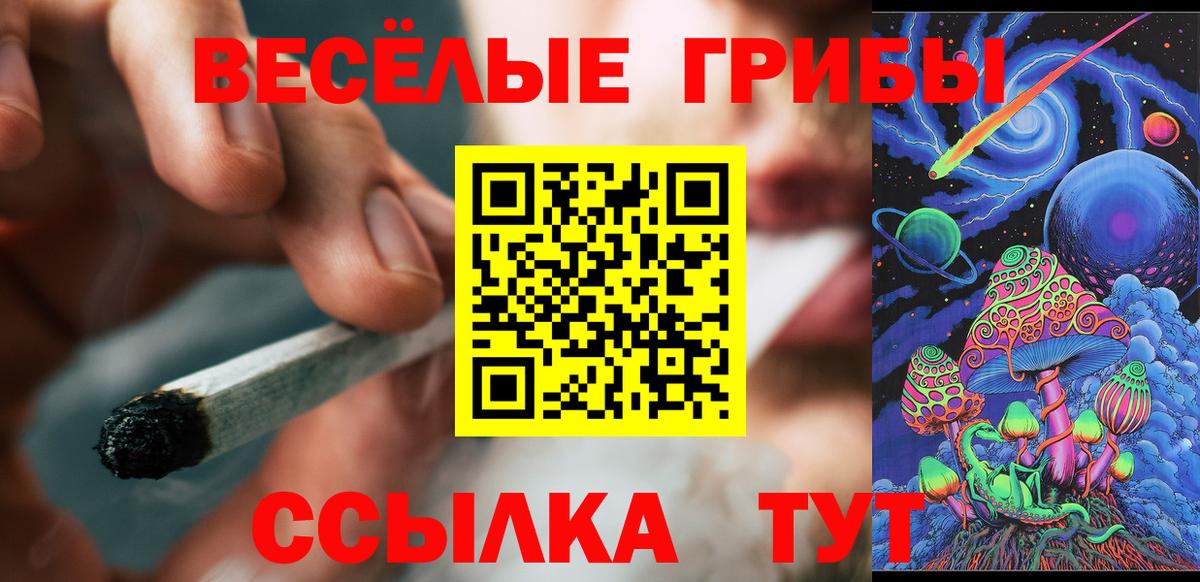 Псилоцибиновые грибы MAGIC MUSHROOMS Новосибирск
